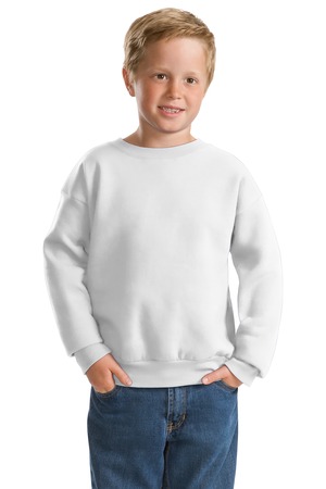 Hanes &#174;   -  Youth EcoSmart &#174;  Crewneck Sweatshirt.  P360